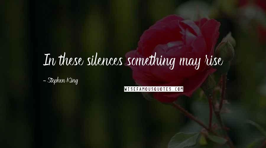 Stephen King Quotes: In these silences something may rise