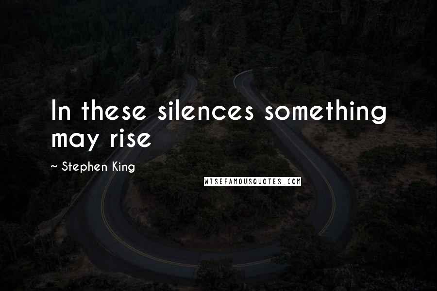 Stephen King Quotes: In these silences something may rise