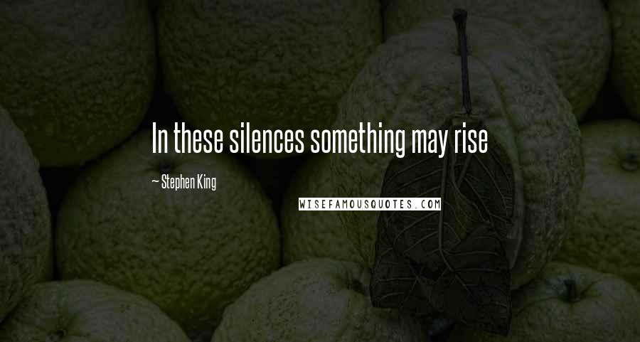 Stephen King Quotes: In these silences something may rise