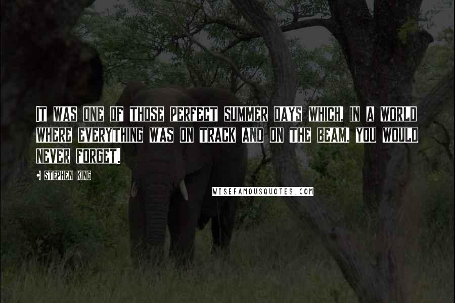 Stephen King Quotes: It was one of those perfect summer days which, in a world where everything was on track and on the beam, you would never forget.