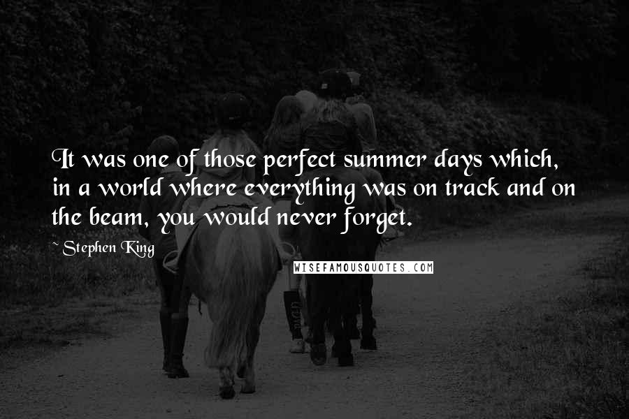 Stephen King Quotes: It was one of those perfect summer days which, in a world where everything was on track and on the beam, you would never forget.