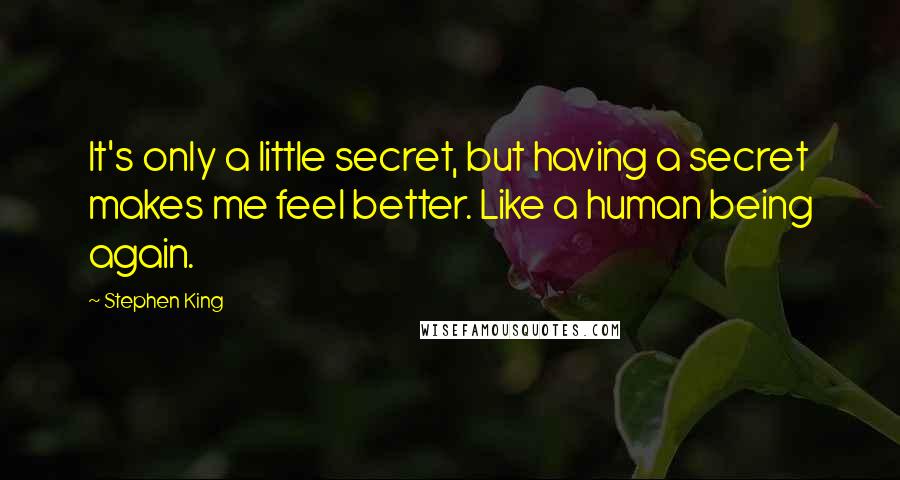 Stephen King Quotes: It's only a little secret, but having a secret makes me feel better. Like a human being again.