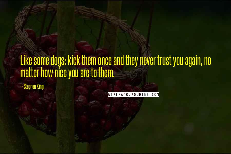 Stephen King Quotes: Like some dogs: kick them once and they never trust you again, no matter how nice you are to them.