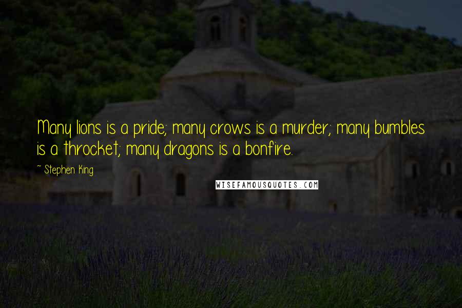 Stephen King Quotes: Many lions is a pride; many crows is a murder; many bumbles is a throcket; many dragons is a bonfire.