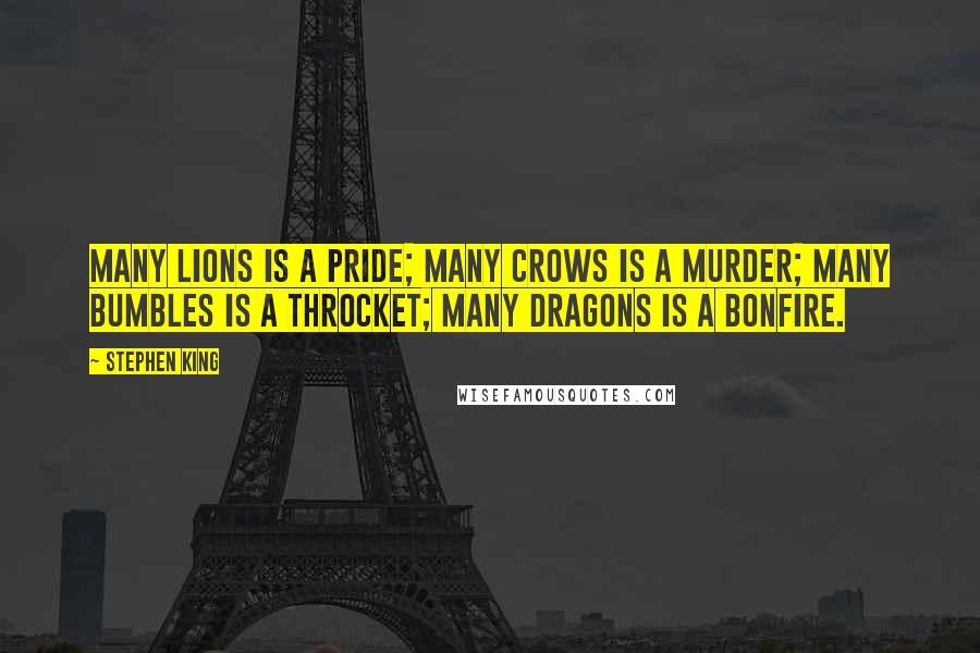 Stephen King Quotes: Many lions is a pride; many crows is a murder; many bumbles is a throcket; many dragons is a bonfire.