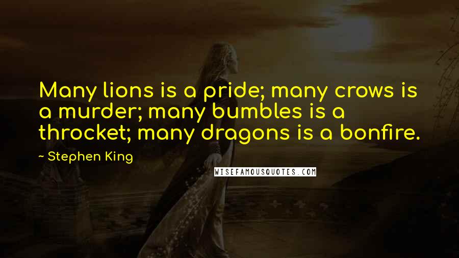 Stephen King Quotes: Many lions is a pride; many crows is a murder; many bumbles is a throcket; many dragons is a bonfire.