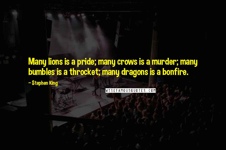 Stephen King Quotes: Many lions is a pride; many crows is a murder; many bumbles is a throcket; many dragons is a bonfire.