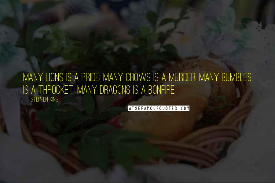 Stephen King Quotes: Many lions is a pride; many crows is a murder; many bumbles is a throcket; many dragons is a bonfire.