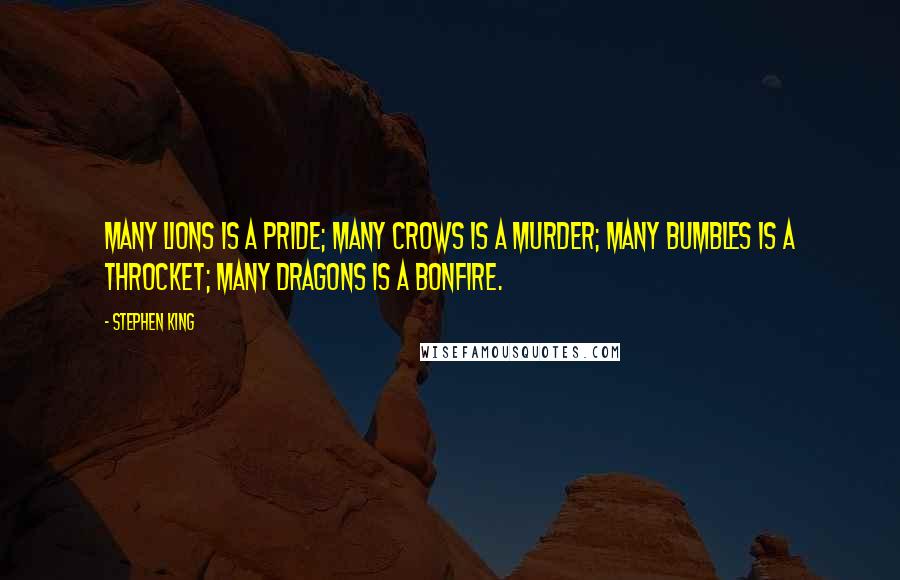 Stephen King Quotes: Many lions is a pride; many crows is a murder; many bumbles is a throcket; many dragons is a bonfire.