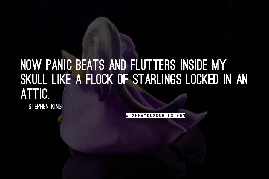 Stephen King Quotes: Now panic beats and flutters inside my skull like a flock of starlings locked in an attic.