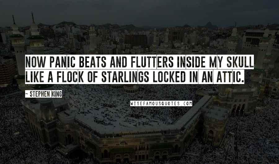 Stephen King Quotes: Now panic beats and flutters inside my skull like a flock of starlings locked in an attic.