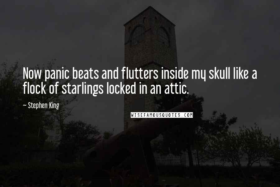 Stephen King Quotes: Now panic beats and flutters inside my skull like a flock of starlings locked in an attic.