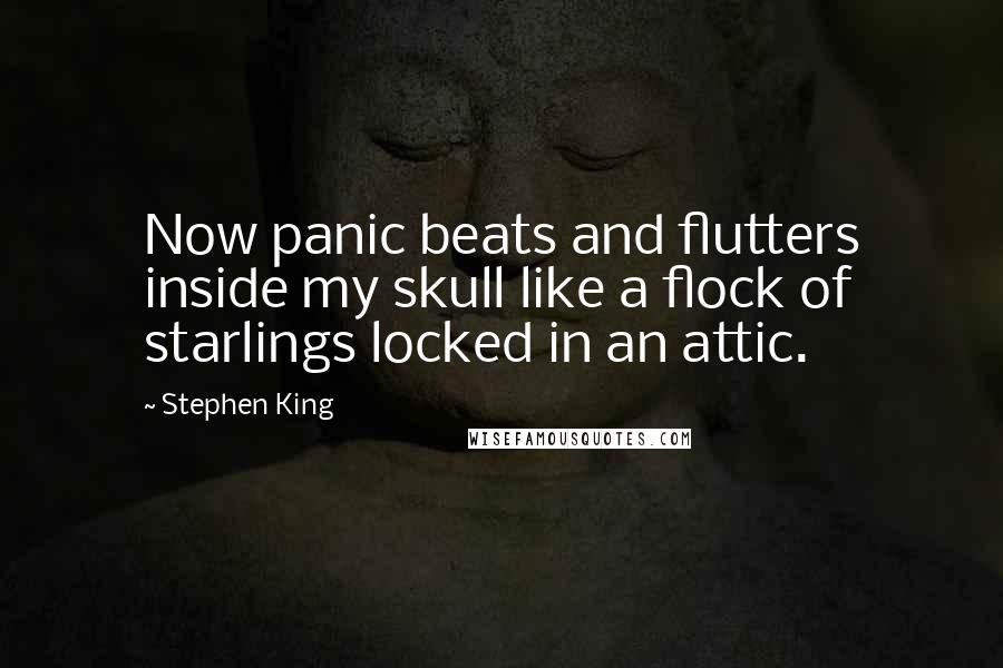 Stephen King Quotes: Now panic beats and flutters inside my skull like a flock of starlings locked in an attic.