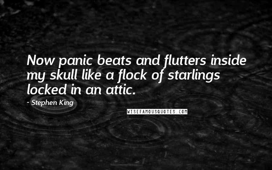 Stephen King Quotes: Now panic beats and flutters inside my skull like a flock of starlings locked in an attic.