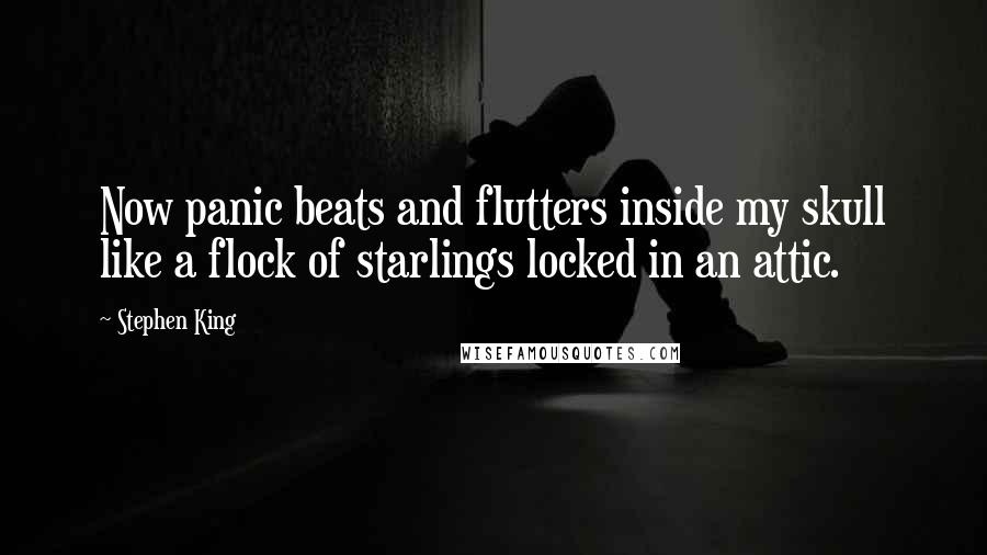 Stephen King Quotes: Now panic beats and flutters inside my skull like a flock of starlings locked in an attic.