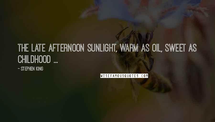 Stephen King Quotes: The late afternoon sunlight, warm as oil, sweet as childhood ...