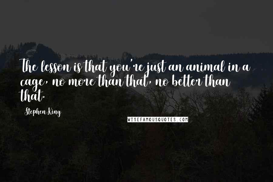 Stephen King Quotes: The lesson is that you're just an animal in a cage, no more than that, no better than that.