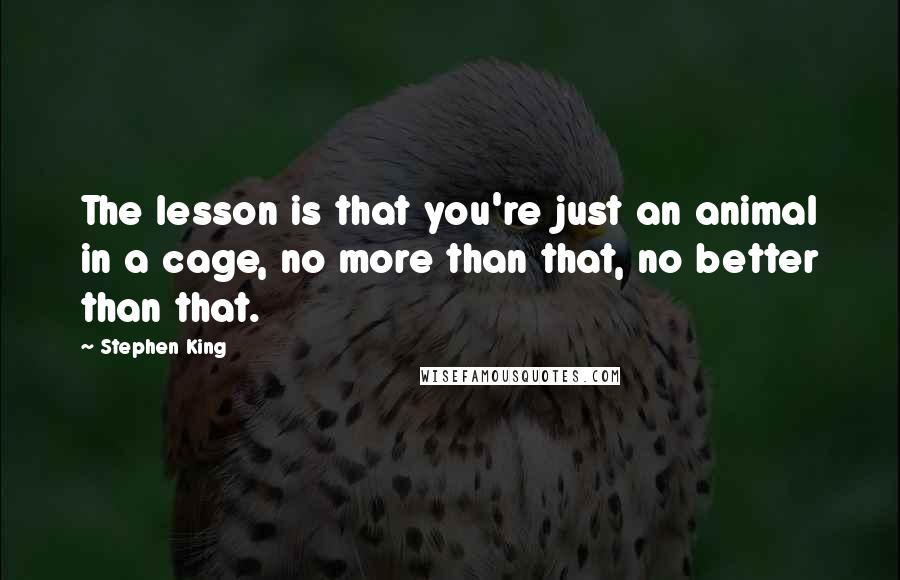 Stephen King Quotes: The lesson is that you're just an animal in a cage, no more than that, no better than that.