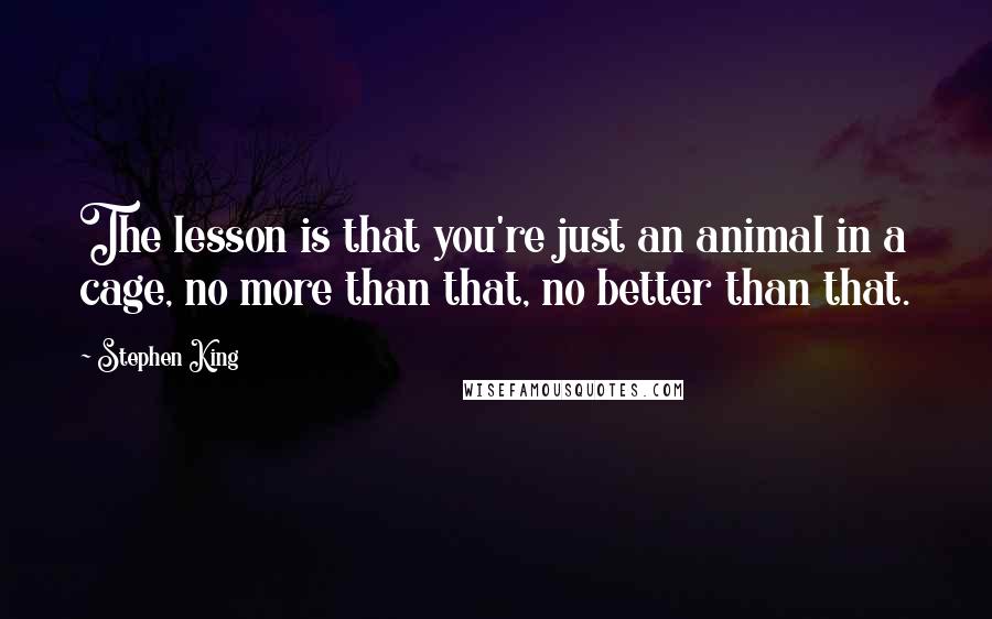 Stephen King Quotes: The lesson is that you're just an animal in a cage, no more than that, no better than that.