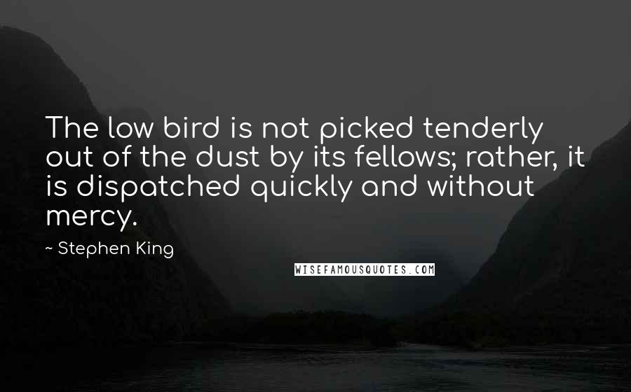Stephen King Quotes: The low bird is not picked tenderly out of the dust by its fellows; rather, it is dispatched quickly and without mercy.
