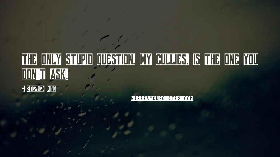 Stephen King Quotes: The only stupid question, my cullies, is the one you don't ask.
