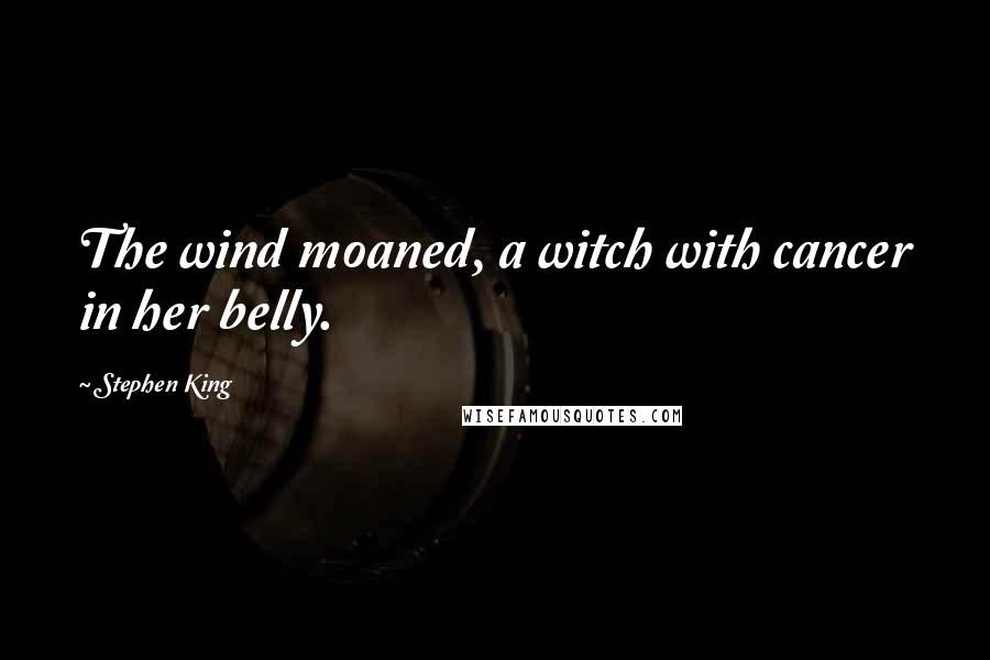 Stephen King Quotes: The wind moaned, a witch with cancer in her belly.