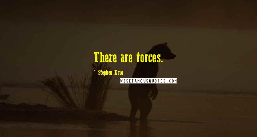 Stephen King Quotes: There are forces.