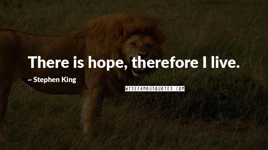 Stephen King Quotes: There is hope, therefore I live.