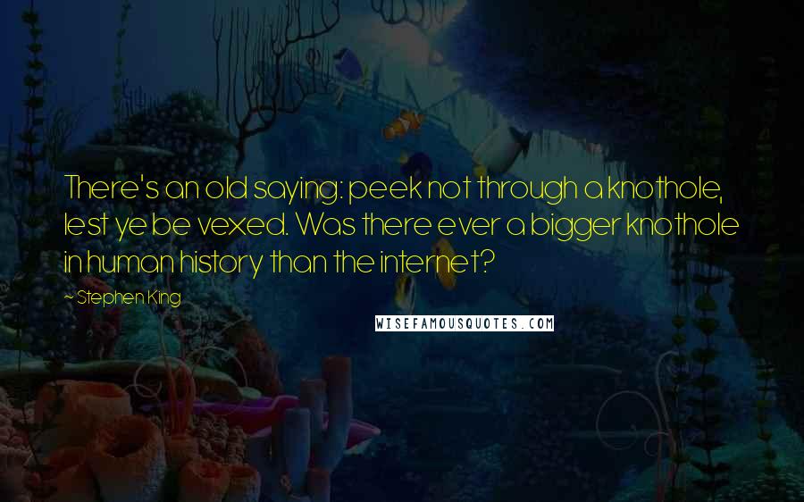 Stephen King Quotes: There's an old saying: peek not through a knothole, lest ye be vexed. Was there ever a bigger knothole in human history than the internet?
