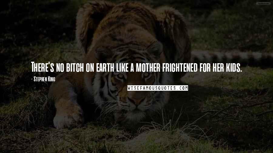 Stephen King Quotes: There's no bitch on earth like a mother frightened for her kids.