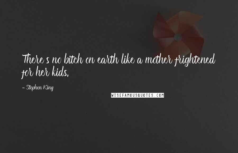 Stephen King Quotes: There's no bitch on earth like a mother frightened for her kids.