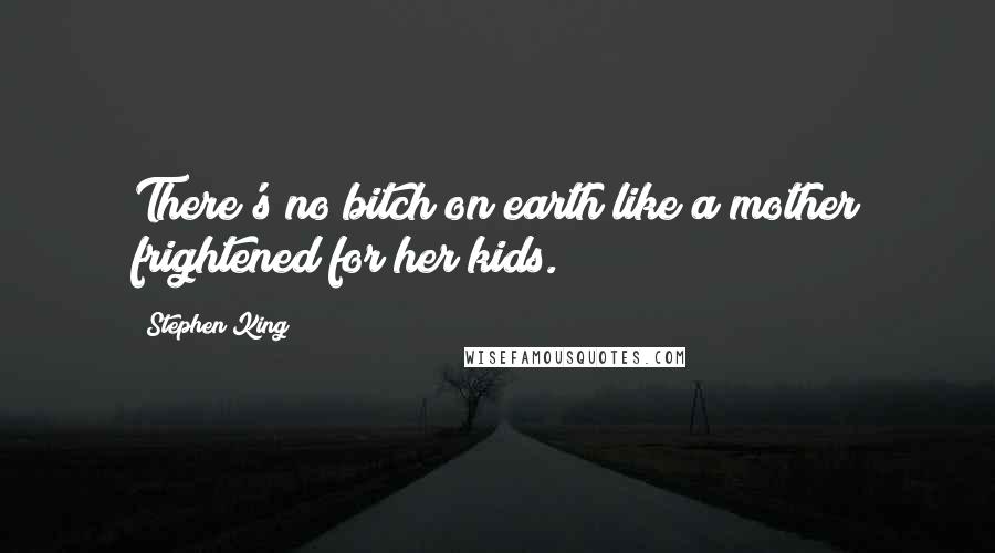 Stephen King Quotes: There's no bitch on earth like a mother frightened for her kids.