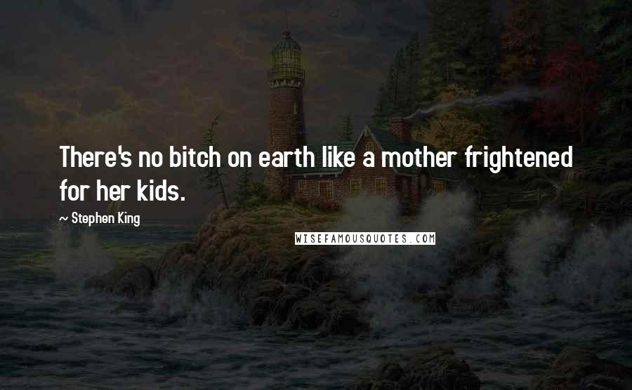 Stephen King Quotes: There's no bitch on earth like a mother frightened for her kids.