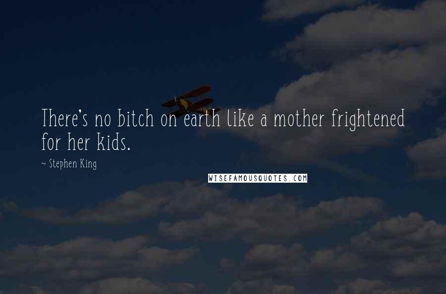 Stephen King Quotes: There's no bitch on earth like a mother frightened for her kids.