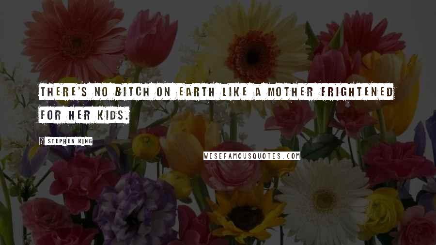 Stephen King Quotes: There's no bitch on earth like a mother frightened for her kids.