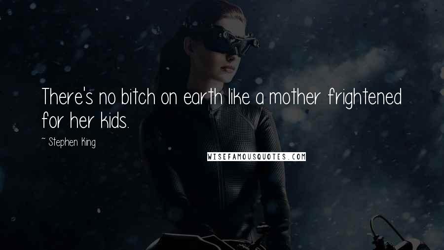 Stephen King Quotes: There's no bitch on earth like a mother frightened for her kids.