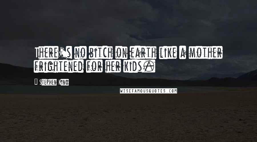 Stephen King Quotes: There's no bitch on earth like a mother frightened for her kids.