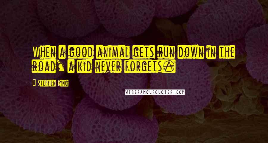 Stephen King Quotes: When a good animal gets run down in the road, a kid never forgets.