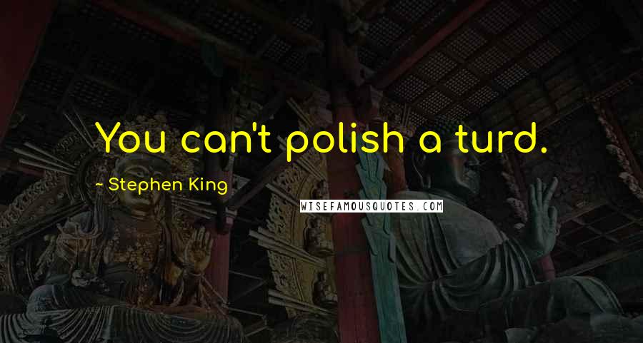 Stephen King Quotes: You can't polish a turd.