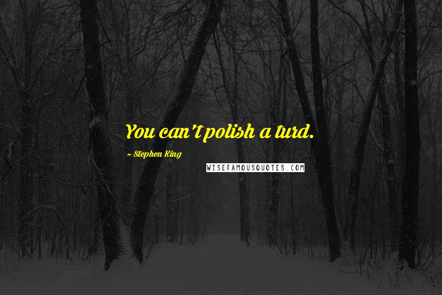 Stephen King Quotes: You can't polish a turd.