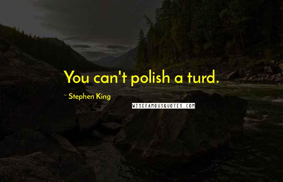 Stephen King Quotes: You can't polish a turd.