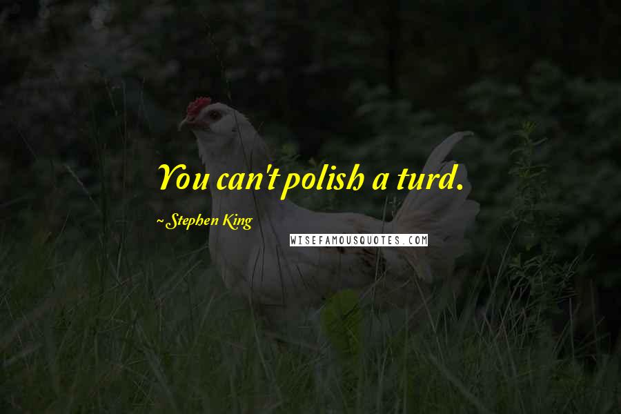 Stephen King Quotes: You can't polish a turd.