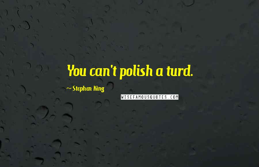Stephen King Quotes: You can't polish a turd.