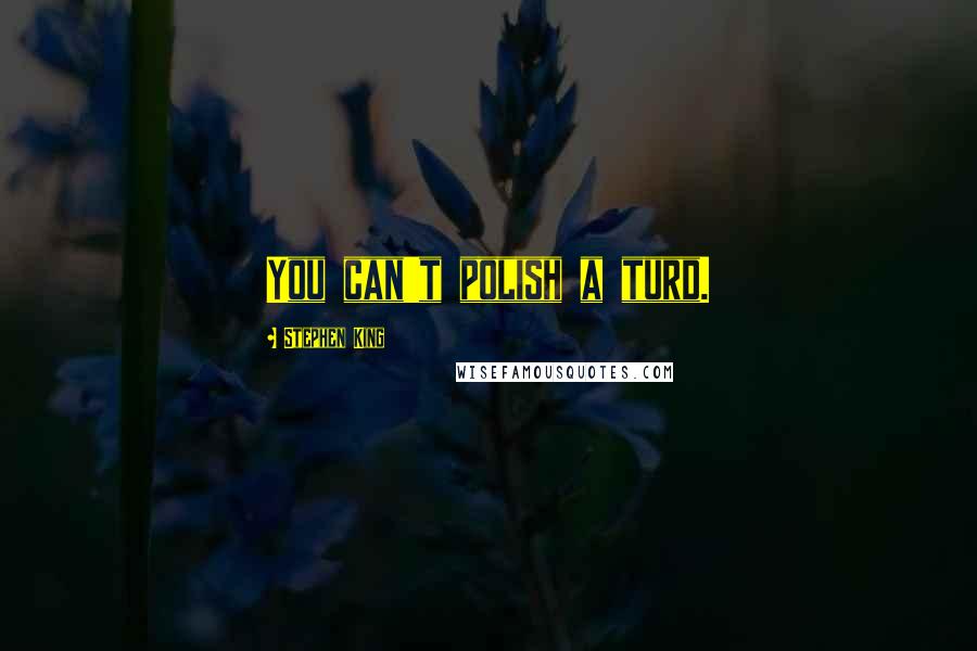 Stephen King Quotes: You can't polish a turd.