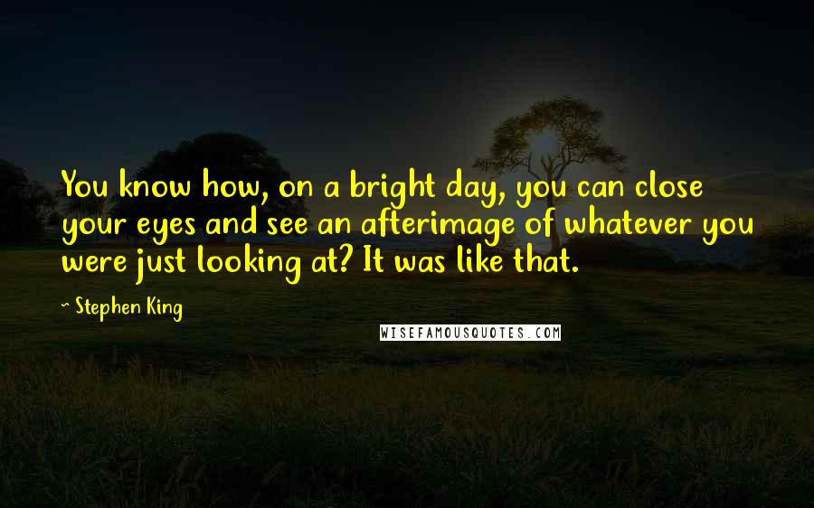 Stephen King Quotes: You know how, on a bright day, you can close your eyes and see an afterimage of whatever you were just looking at? It was like that.