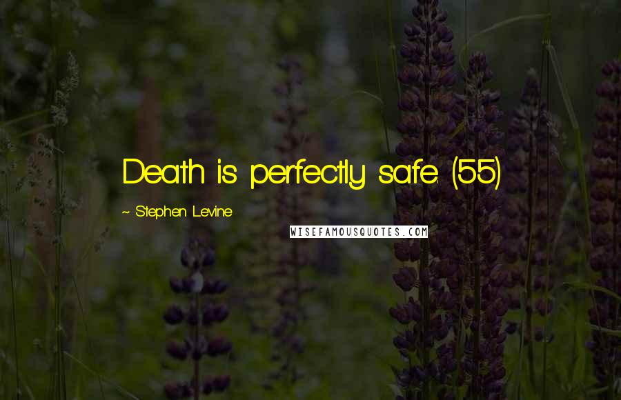 Stephen Levine Quotes: Death is perfectly safe. (55)