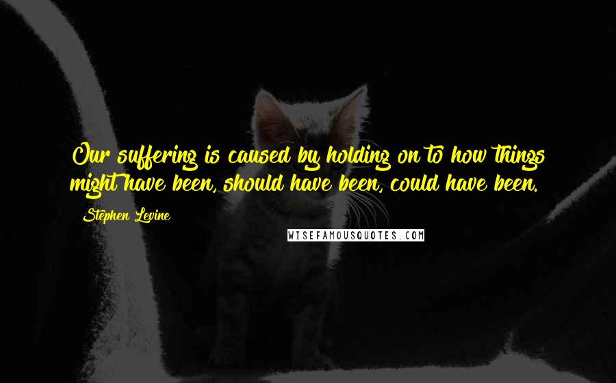 Stephen Levine Quotes: Our suffering is caused by holding on to how things might have been, should have been, could have been.