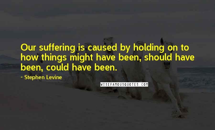 Stephen Levine Quotes: Our suffering is caused by holding on to how things might have been, should have been, could have been.
