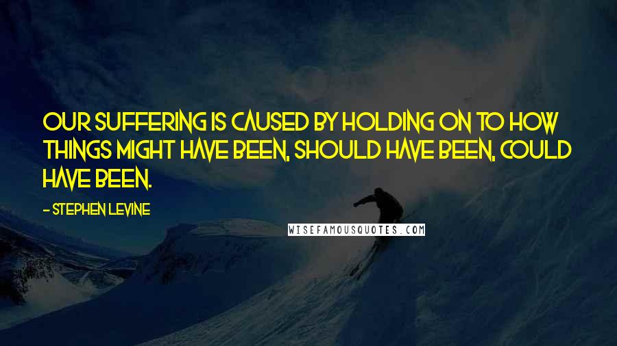 Stephen Levine Quotes: Our suffering is caused by holding on to how things might have been, should have been, could have been.