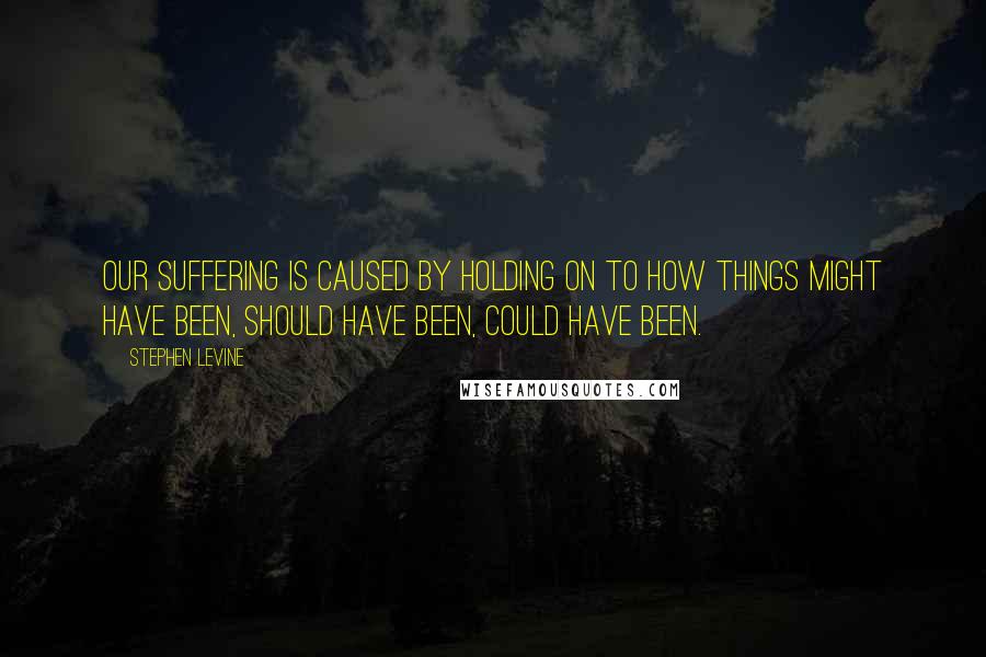 Stephen Levine Quotes: Our suffering is caused by holding on to how things might have been, should have been, could have been.